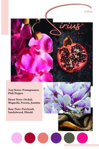 Sirius by Patric, parfum pentru femei 100 ml - 3
