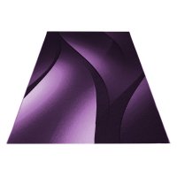 Covor Plus Lila V3 160x230 cm - 3