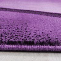 Covor Plus Lila V3 160x230 cm - 4
