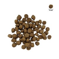 FOR DOG Adult Mini Pasăre 10kg - Hrană Uscată pentru Câini XS-S - 3