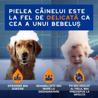 DOUXO SPA Shampoo 2 in 1 Conditioning, șampon și balsam 2în1 câini, descâlcirea blănii, Vanilie și Nucă de cocos, flacon, 250ml - 4