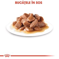 ROYAL CANIN Sterilised Adult, hrană umedă pisici sterilizate, (în sos), 85g - 5