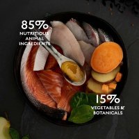 CANAGAN Scottish Salmon - Hrana Uscata Fara Cereale pentru Pisici Junior si Adult, 1.5kg - 5