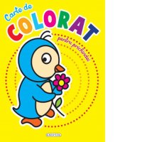 Carte de colorat pentru copii mici - Distractie si creativitate - 1