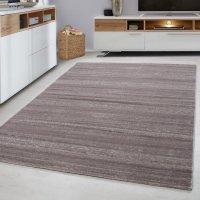 Covor Plus Bej 280 x 370 cm - 2