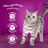 WHISKAS Pure Delight Pasăre, Hrană Umedă pentru Pisici în Aspic, Multipack 85g x 12 - 6