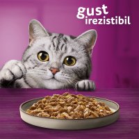 WHISKAS Pure Delight Pasăre, Hrană Umedă pentru Pisici în Aspic, Multipack 85g x 12 - 10