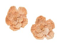 Cercei FLEURISH 260 ALDO bej din metal pentru femei - 1