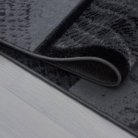 Covor Plus Negru V2 80x300 cm - 2