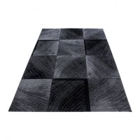 Covor Plus Negru V2 80x300 cm - 1