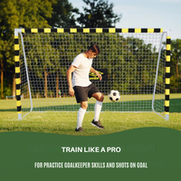 Poarta de fotbal Umbro 300x200x110 cm - 8