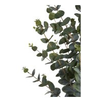 Planta Artificiala Eucalipt Verde - 36x46x120 cm - 1