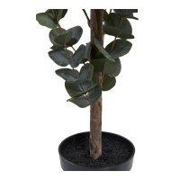 Planta Artificiala Eucalipt Verde - 36x46x120 cm - 2