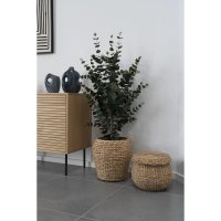 Planta Artificiala Eucalipt Verde - 36x46x120 cm - 3