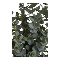 Planta Artificiala Eucalipt Verde - 36x46x120 cm - 4