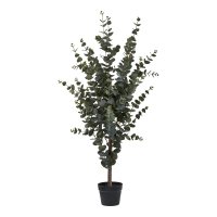 Planta Artificiala Eucalipt Verde - 36x46x120 cm - 5