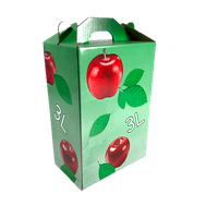 Cutie Bag-in-Box 3 L Verde cu Model de Mere Loredo - 1