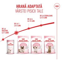PROMO ROYAL CANIN Mother & BabyCat, hrană uscată pisici, mama și puiul, 400g, 60% REDUCERE la al Doilea Produs - 12