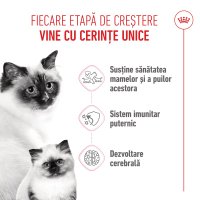 PROMO ROYAL CANIN Mother & BabyCat, hrană uscată pisici, mama și puiul, 400g, 60% REDUCERE la al Doilea Produs - 5