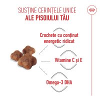 PROMO ROYAL CANIN Mother & BabyCat, hrană uscată pisici, mama și puiul, 400g, 60% REDUCERE la al Doilea Produs - 6