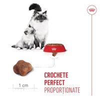PROMO ROYAL CANIN Mother & BabyCat, hrană uscată pisici, mama și puiul, 400g, 60% REDUCERE la al Doilea Produs - 7