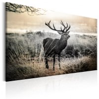 Tablou - Dangerous Horns 120x80 cm - 1