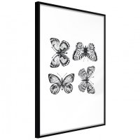 Poster Butterfly Collection III cu rama neagra, 40x60 cm - 1
