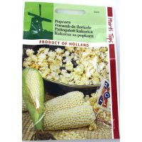 Seminte Porumb Popcorn 3g, Holland - Floricele Delicioase - 1