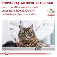 ROYAL CANIN VD Urinary S/O, dietă veterinară, hrană uscată pisici, sistem urinar, 400g - 8