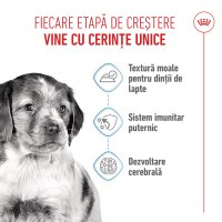 ROYAL CANIN Medium Puppy, hrană umedă câini junior, (în sos), bax, 140g x 10buc - 4