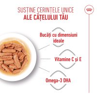 ROYAL CANIN Medium Puppy, hrană umedă câini junior, (în sos), bax, 140g x 10buc - 5