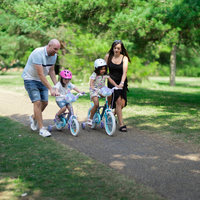 Bicicleta pentru copii 3-5 ani Huffy Frozen 12 inch cu roti ajutatoare - 10