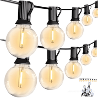 Ghirlanda LED, Flag Light, 10 becuri, G40 E12, 5 m - 2