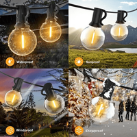 Ghirlanda LED, Flag Light, 10 becuri, G40 E12, 5 m - 7