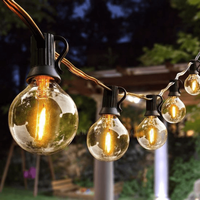 Ghirlanda LED, Flag Light, 10 becuri, G40 E12, 5 m - 3