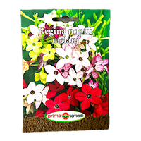 Seminte de Regina Noptii melanj, 0.5 g, Prima Sementi - 1