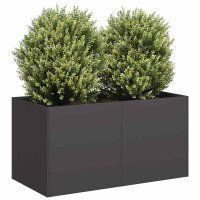 Jardinier negru din otel laminat la rece 80x40x40 cm - 2