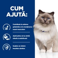 HILL'S Prescription Diet r/d Weight Loss pentru Pisici cu Pui, Hrană Uscată pentru Scădere în Greutate, 3kg - 10