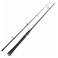 Lanseta Sportex Hydra Spirit 2.70m, 40g, 2 tronsoane - 1
