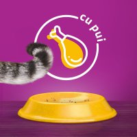 WHISKAS Adult, Pui, hrană uscată pisici, 14kg - 12