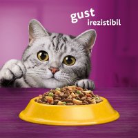 WHISKAS Adult, Pui, hrană uscată pisici, 14kg - 4