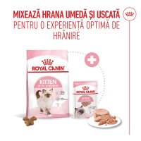ROYAL CANIN Kitten, hrană umedă pisici junior, (pate), 85g - 8