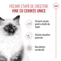 ROYAL CANIN Kitten, hrană umedă pisici junior, (pate), 85g - 4