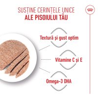 ROYAL CANIN Kitten, hrană umedă pisici junior, (pate), 85g - 5