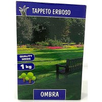 Seminte gazon umbra 1 kg - Mix special pentru peluze - 1