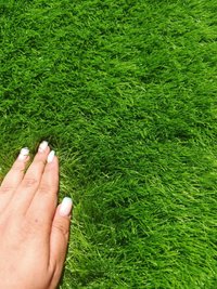 Gazon Artificial Tinoh Verde 300x500 cm - Delta - 3