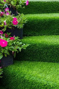 Gazon Artificial Tinoh Verde 300x500 cm - Delta - 4