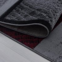 Covor Plus Rosu V1 200x290 cm - 3