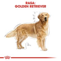 ROYAL CANIN Golden Retriever Adult, hrană uscată câini, 12kg - 4