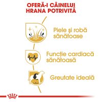 ROYAL CANIN Golden Retriever Adult, hrană uscată câini, 12kg - 5